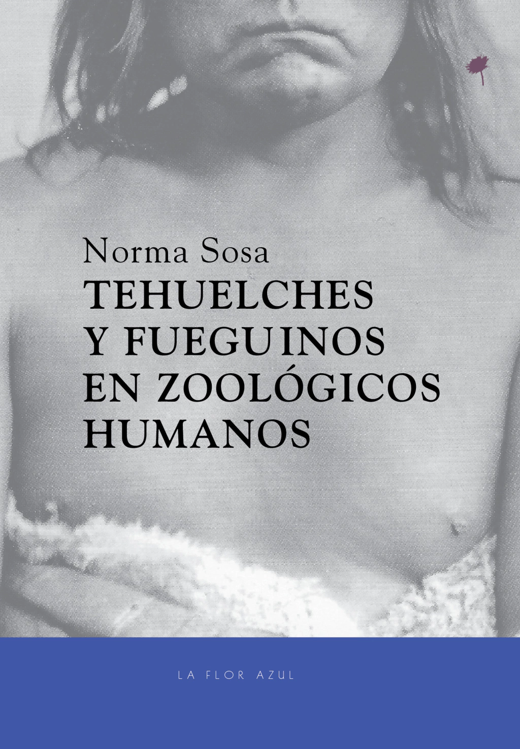 Portada de Tehuelches y Fueguinos en zoológicos humanos